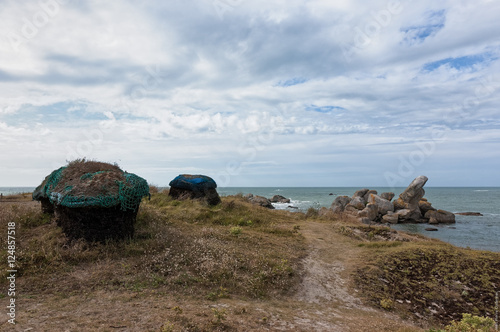 Tas de goémon séché sur la côte nord du Finistère photo