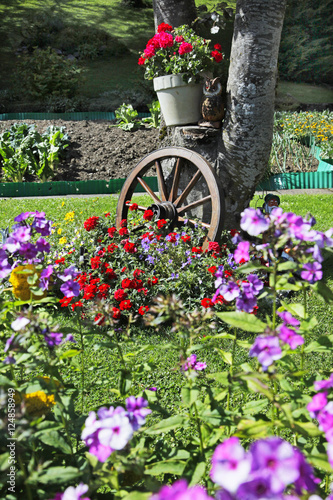 wagon wheel n flowers