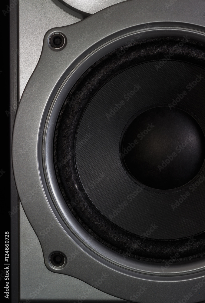 Fragment of a woofer of a home loudspeaker closeup Fragment of a woofer of a home loudspeaker closeup