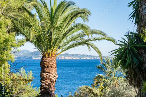 Mediterranean Sea View