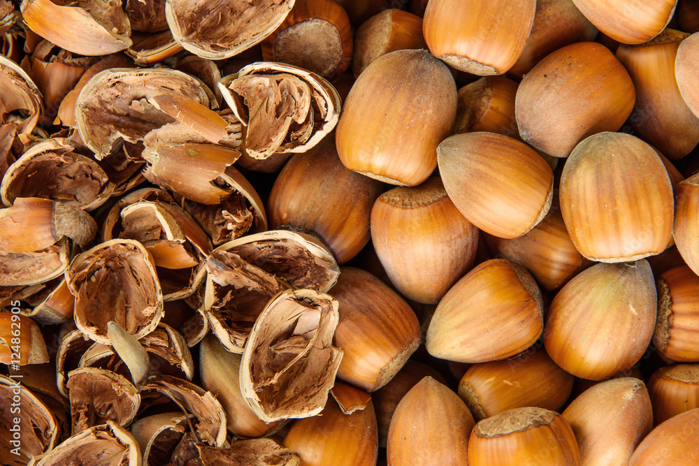 Hazelnut texture Hazelnut texture