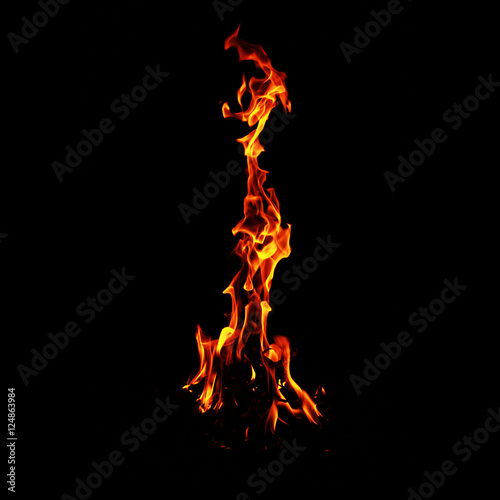 Fire flames on black background © dyageleva