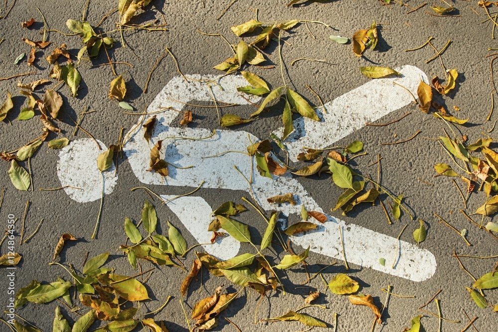 Obraz premium Pedestrian crossing sign on asphalt with fallen leaves.