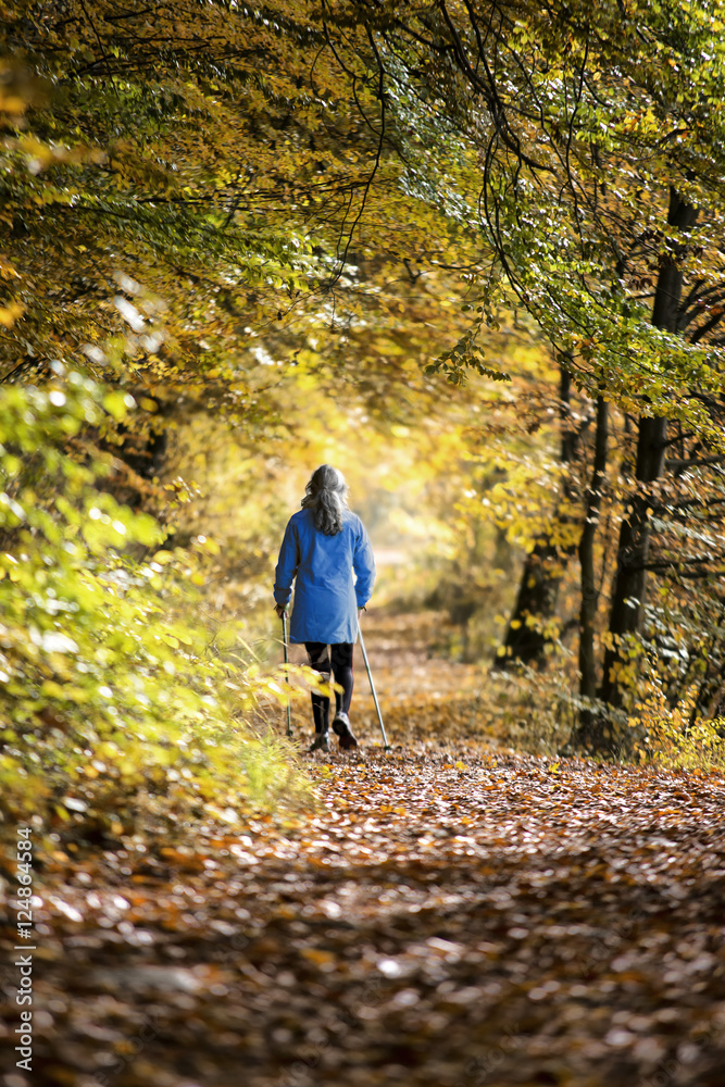 Spaziergang im Herbst Spaziergang im Herbst