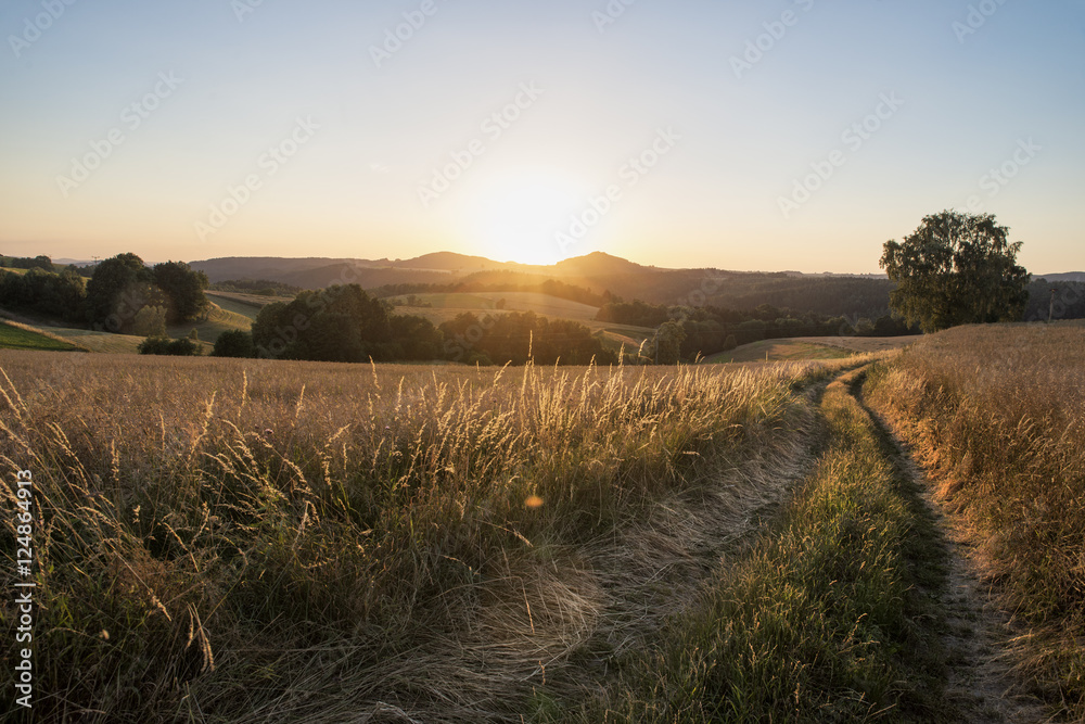 Fototapeta premium Agra Landschaft, Felder bei Sonnenaufgang
