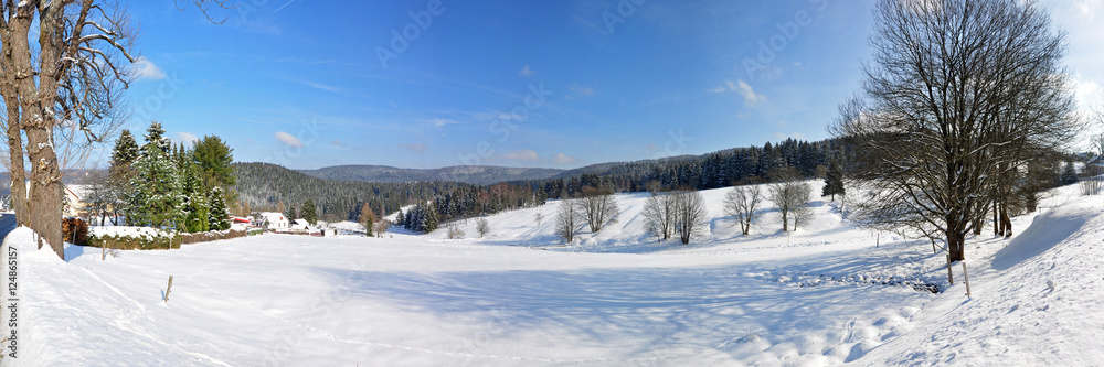 Winter bei Scheibe-Alsbach im Thüringer Wald Winter bei Scheibe-Alsbach im Thüringer Wald