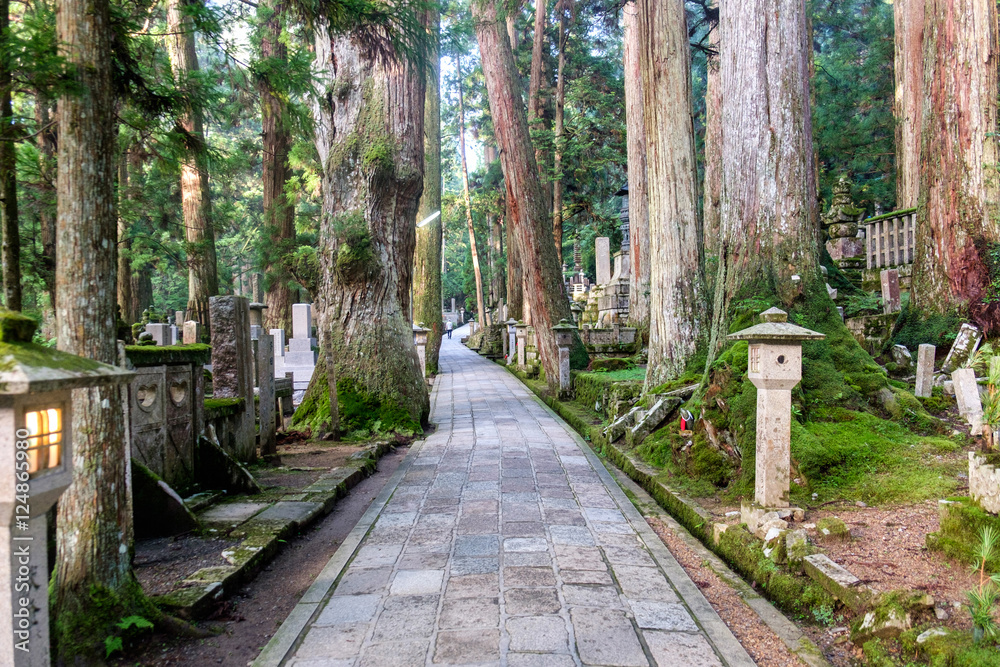 Graveyard of Mount Koya (Koya San), near Kobo-Daishi's shrine, in the Kansai peninsula, Japan. - obrazy, fototapety, plakaty 