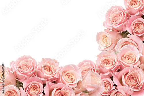 Border of Roses with space for text