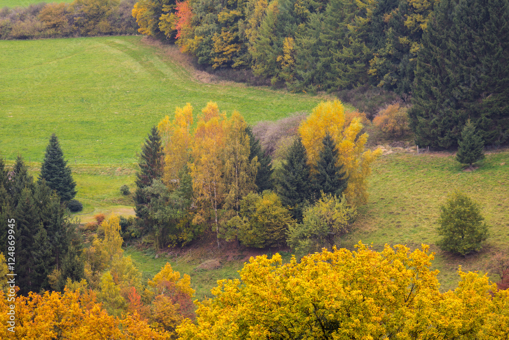 Fototapeta premium Herbst im Sauerland