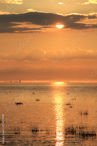 Sea shore during sunset