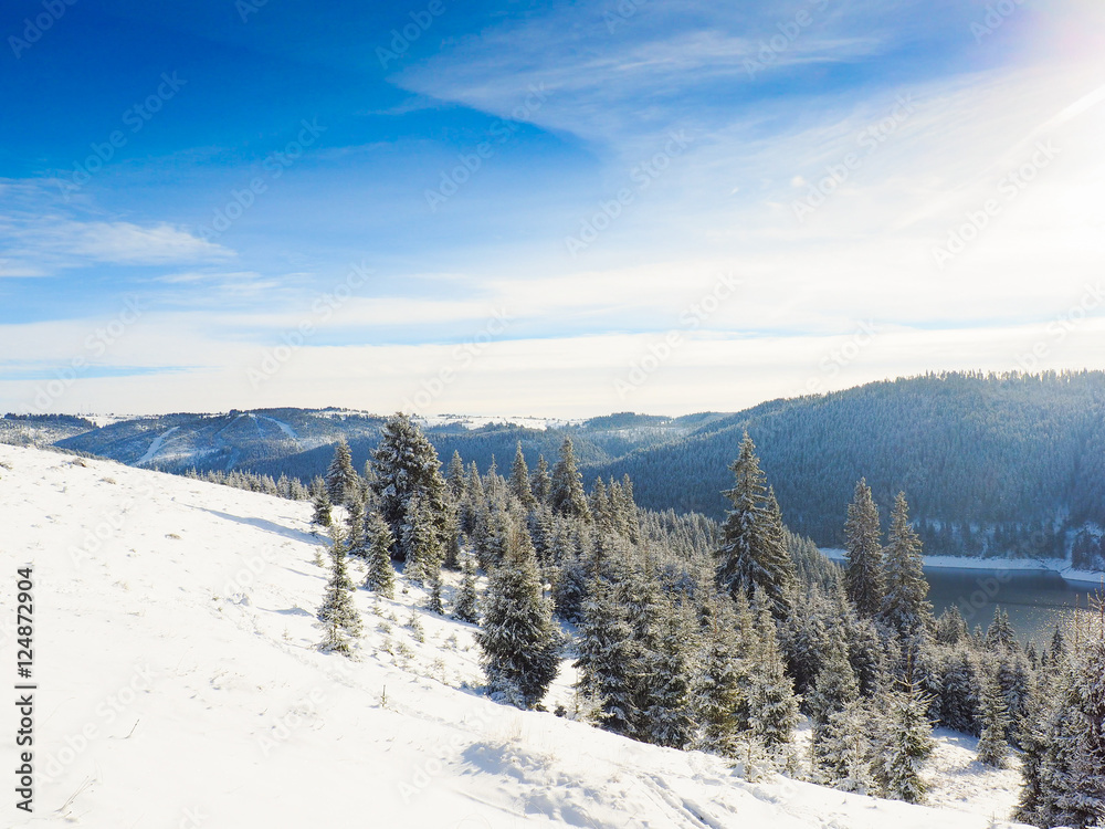 Winter wonderland, Christmas holiday background 