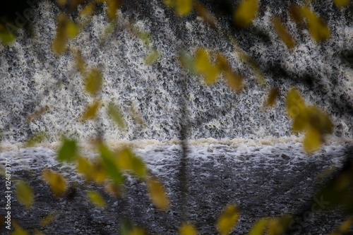 Waterfall Through Trees