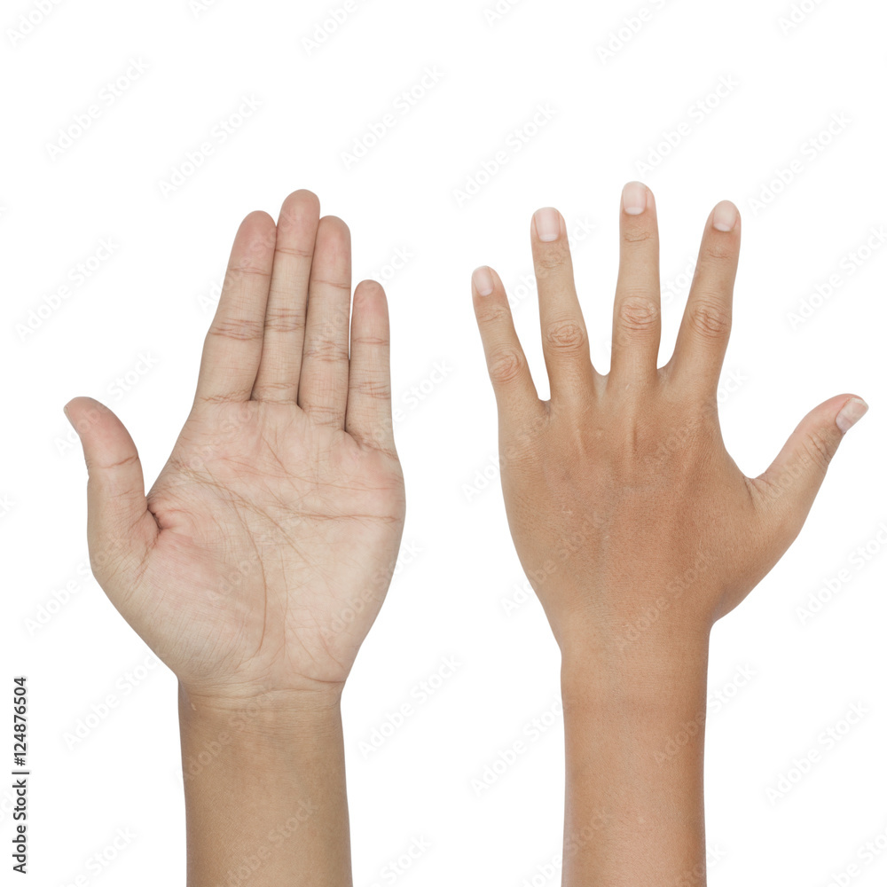 hand symbol isolated on a white background hand symbol isolated on a white background