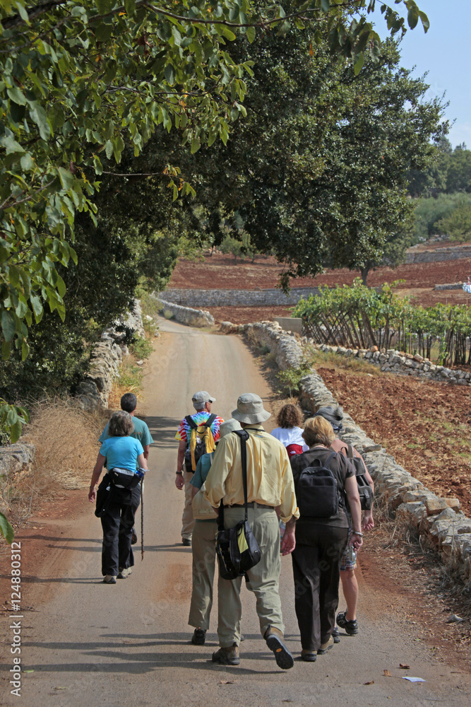 Obraz premium hikers walking down road