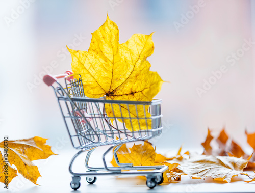 Cart with leaves