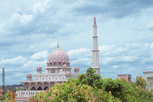 Photography pink mosques putrajayas roof dome and tree in kuala lumpur city tour day time ou