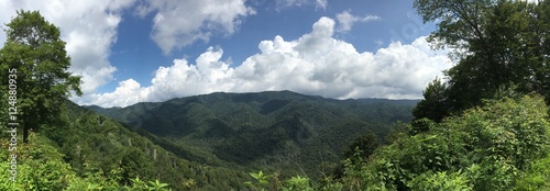 Panoramic landscape