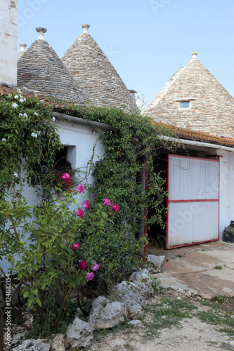 Fototapeta Naklejka Na Ścianę i Meble -  flowers n trulli