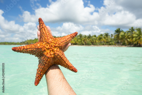Foto Sea Star from Saona Island in Punta Cana, Dominican Republic