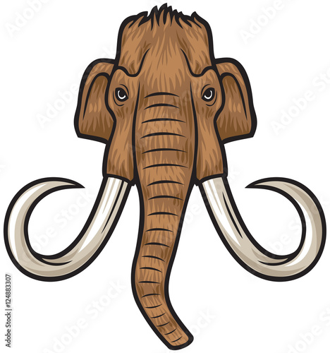 mammoth head