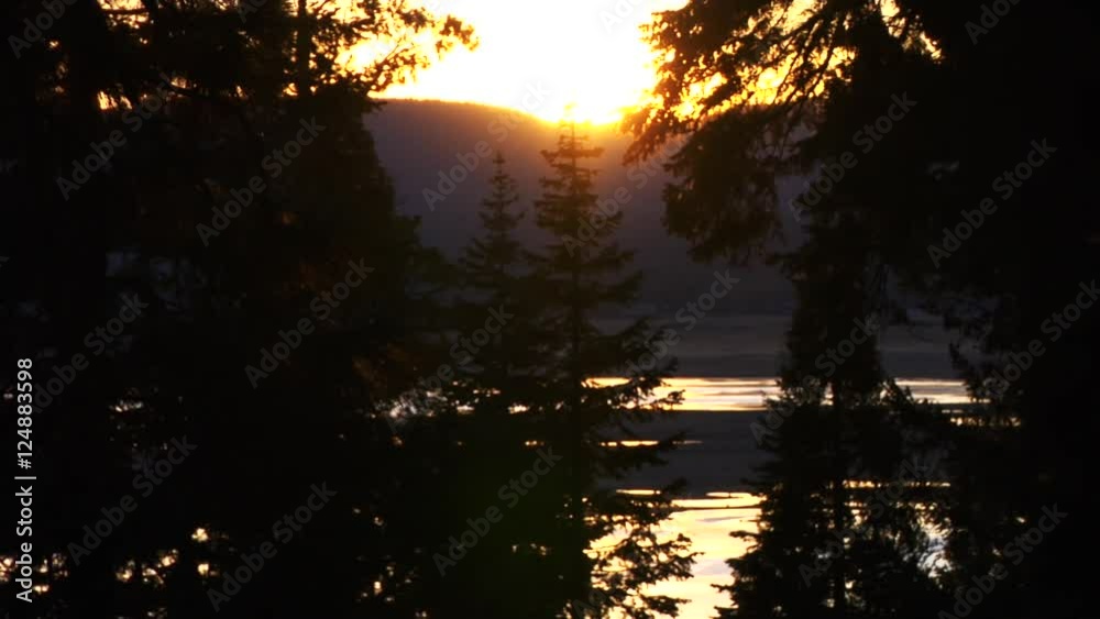 Beauty sunset, Redwood National Park, static shot with natural audio. Beauty sunset, Redwood National Park, static shot with natural audio.