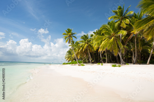 Saona Island in Punta Cana, Dominican Republic, Paradise on Earth © bruno ismael alves