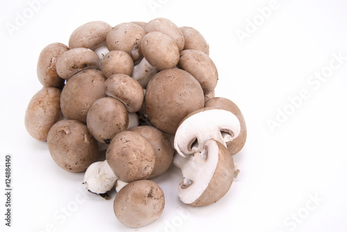 funghi champignon su fondo bianco
