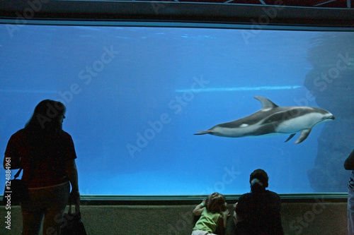 people viewing aquarium