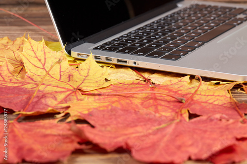 Laptop on colorful autumn leaves on a table