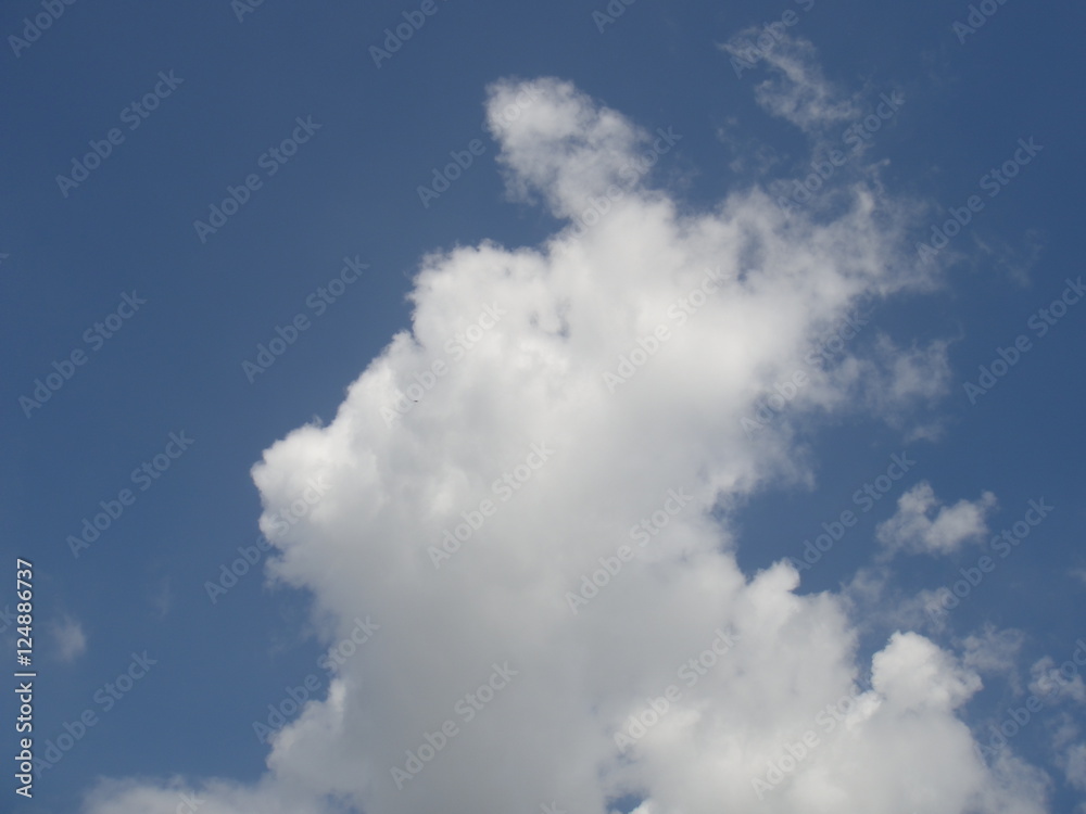 Cloud Cloud