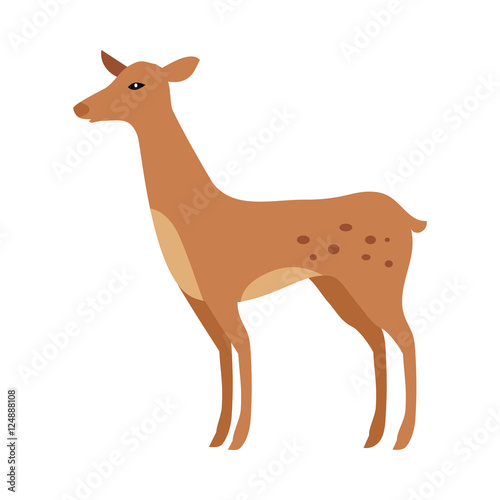 Fawn Isolated. Junior Verdant Young Spotted Deer