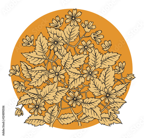 Hand drawn flowers on white background