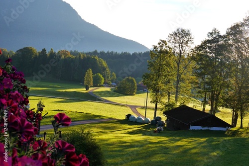 Saftig grüne Weide in den Berchtesgadener Alpen photo