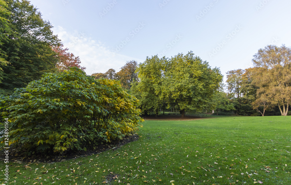 Obraz premium Knoops-Park im Herbstkleid in Bremen