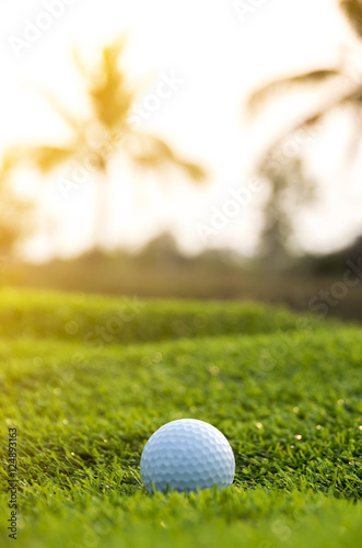 Golf ball on the green