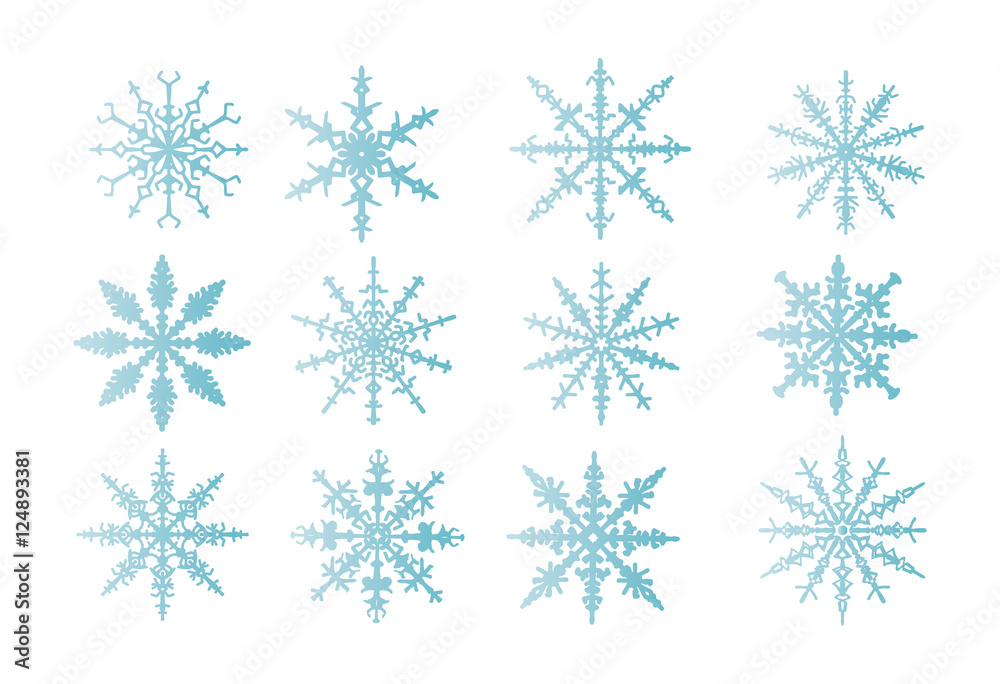 Fototapeta premium snowflakes isolated