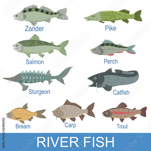 River Fish Identification Slate With Names