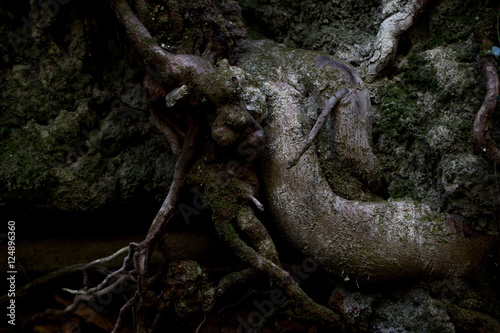 Canvastavla Roots