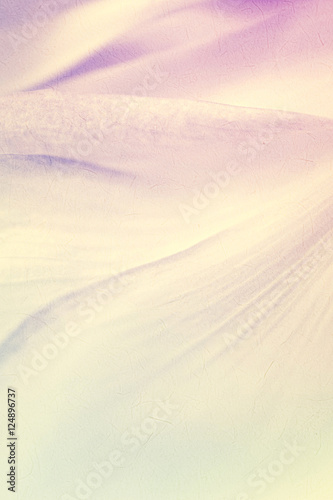 sweet color flower petals in soft color and blur style for background


