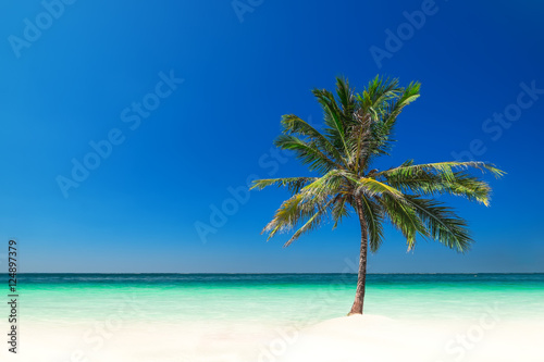 Minimalism style landscape. Amazing tropical beach landscape with palm tree, white sand and turquoise ocean waves. Myanmar (Burma) travel destinations