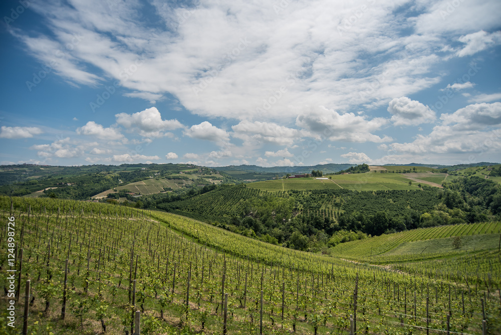 Piemonte - Le Langhe terre di castelli e vino 
