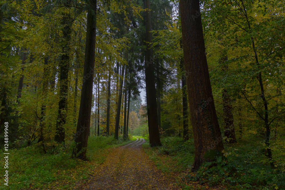 Obraz premium Natur mir Farbe und Aussicht