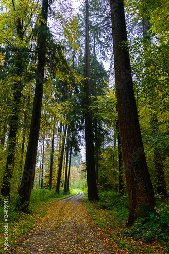 Natur mir Farbe und Aussicht