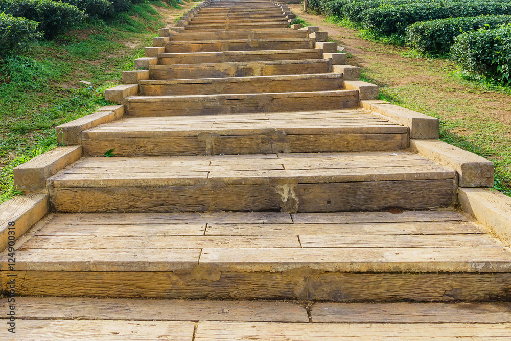 Stone stairs  in Green tea plantations.