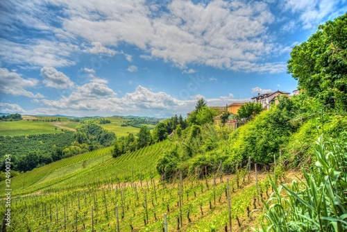 Piemonte - Le Langhe terre di castelli e vino  photo
