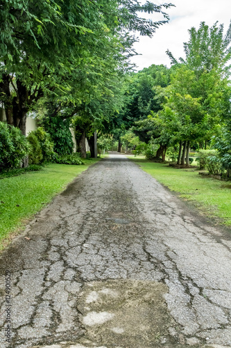 Asphalt country road