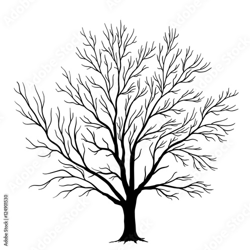 Vector tree silhouette isolated on white background