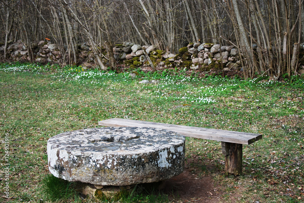 Obraz premium Natural resting place