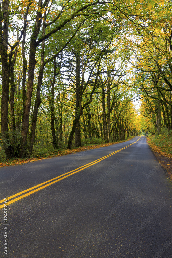 Historic Columbia River Highway in Fall