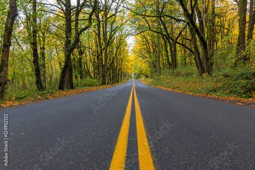 Historic Columbia River Highway Two Way Lanes in Fall © jpldesigns